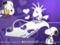 SNOOP DOG PEEKER | Car sticker | bumper sticker | jdm decals
